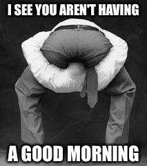 Head up your arse | I SEE YOU AREN'T HAVING A GOOD MORNING | image tagged in funny | made w/ Imgflip meme maker