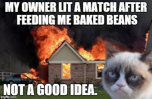 Burn Kitty Meme | MY OWNER LIT A MATCH AFTER FEEDING ME BAKED BEANS NOT A GOOD IDEA. | image tagged in memes,burn kitty | made w/ Imgflip meme maker