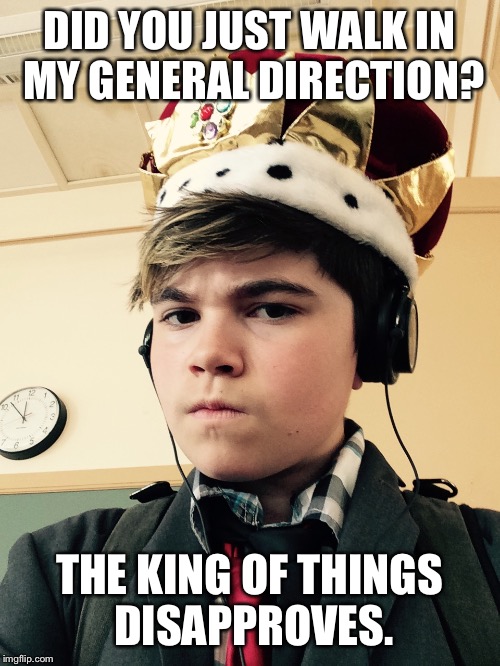 The King of Things  | DID YOU JUST WALK IN MY GENERAL DIRECTION? THE KING OF THINGS DISAPPROVES. | image tagged in the king of things | made w/ Imgflip meme maker