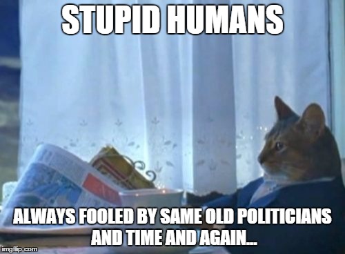 I Should Buy A Boat Cat | STUPID HUMANS ALWAYS FOOLED BY SAME OLD POLITICIANS AND TIME AND AGAIN... | image tagged in memes,i should buy a boat cat | made w/ Imgflip meme maker