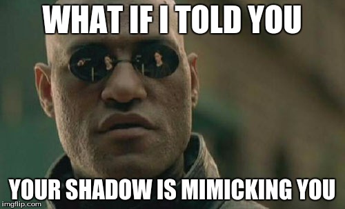 Matrix Morpheus Meme | WHAT IF I TOLD YOU YOUR SHADOW IS MIMICKING YOU | image tagged in memes,matrix morpheus | made w/ Imgflip meme maker