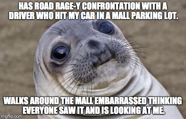 Awkward Moment Sealion | HAS ROAD RAGE-Y CONFRONTATION WITH A DRIVER WHO HIT MY CAR IN A MALL PARKING LOT. WALKS AROUND THE MALL EMBARRASSED THINKING EVERYONE SAW IT | image tagged in memes,awkward moment sealion,AdviceAnimals | made w/ Imgflip meme maker
