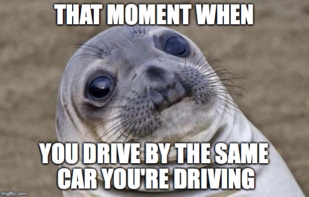 Awkward Moment Sealion | THAT MOMENT WHEN YOU DRIVE BY THE SAME CAR YOU'RE DRIVING | image tagged in memes,awkward moment sealion | made w/ Imgflip meme maker