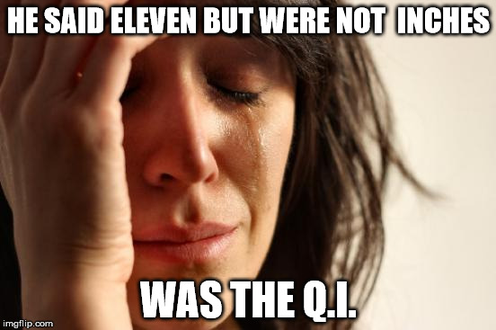 First World Problems Meme | HE SAID ELEVEN BUT WERE NOT  INCHES WAS THE Q.I. | image tagged in memes,first world problems | made w/ Imgflip meme maker