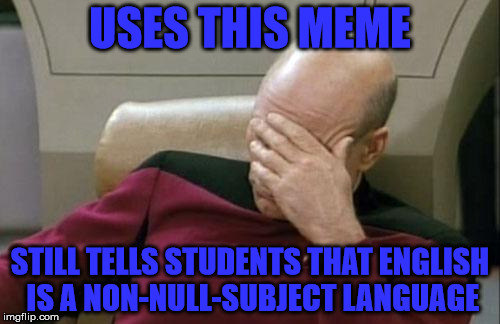 Captain Picard Facepalm Meme | USES THIS MEME STILL TELLS STUDENTS THAT ENGLISH IS A NON-NULL-SUBJECT LANGUAGE | image tagged in memes,captain picard facepalm | made w/ Imgflip meme maker