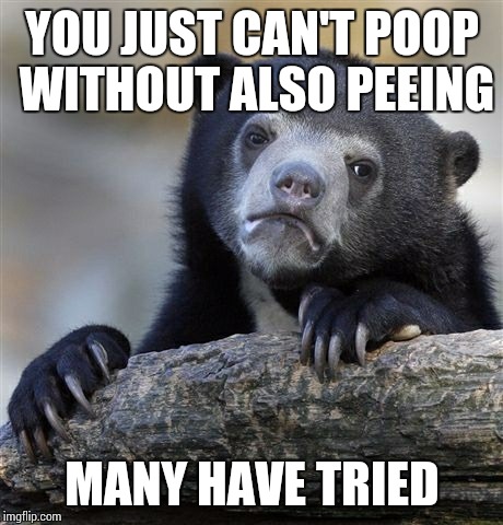 Confession Bear Meme | YOU JUST CAN'T POOP WITHOUT ALSO PEEING MANY HAVE TRIED | image tagged in memes,confession bear | made w/ Imgflip meme maker