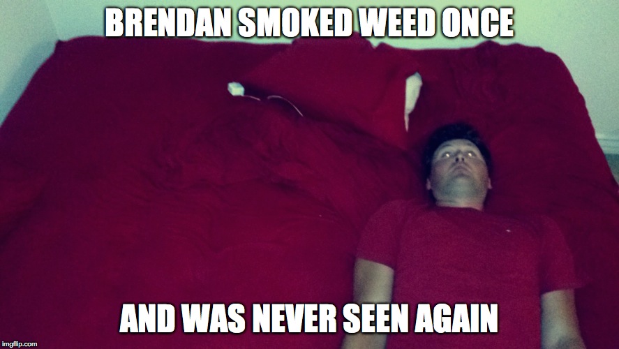 Trying to blend in | BRENDAN SMOKED WEED ONCE AND WAS NEVER SEEN AGAIN | image tagged in trying to blend in | made w/ Imgflip meme maker