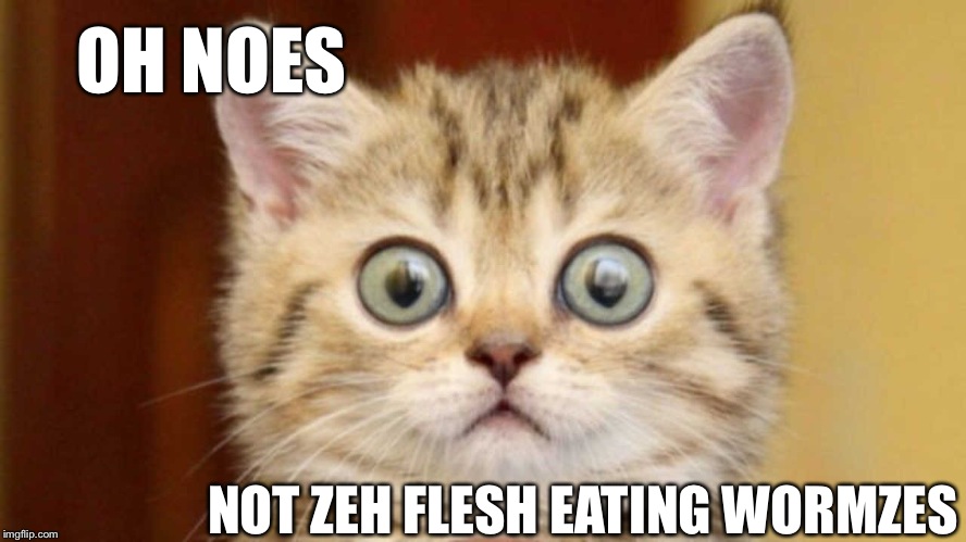 OH NOES NOT ZEH FLESH EATING WORMZES | made w/ Imgflip meme maker