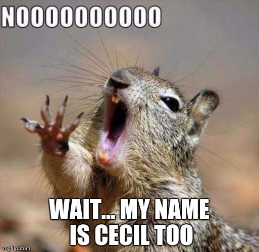 WAIT... MY NAME IS CECIL TOO | made w/ Imgflip meme maker