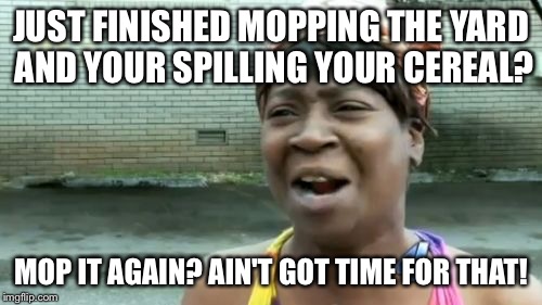 Ain't Nobody Got Time For That Meme | JUST FINISHED MOPPING THE YARD AND YOUR SPILLING YOUR CEREAL? MOP IT AGAIN? AIN'T GOT TIME FOR THAT! | image tagged in memes,aint nobody got time for that | made w/ Imgflip meme maker