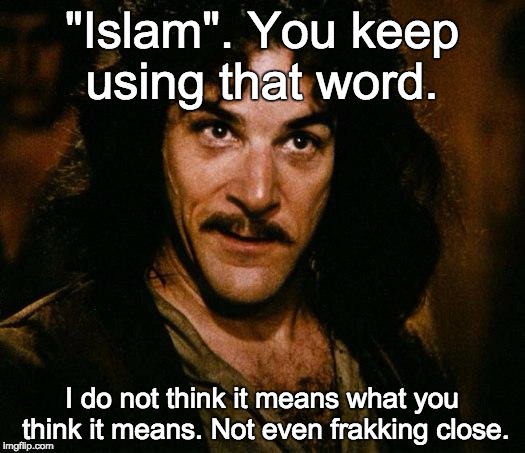 Inigo Montoya Meme | "Islam". You keep using that word. I do not think it means what you think it means. Not even frakking close. | image tagged in memes,inigo montoya | made w/ Imgflip meme maker