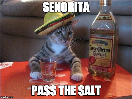 partycat | SENORITA PASS THE SALT | image tagged in partycat | made w/ Imgflip meme maker