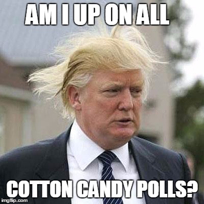 Donald Trump | AM I UP ON ALL COTTON CANDY POLLS? | image tagged in donald trump | made w/ Imgflip meme maker