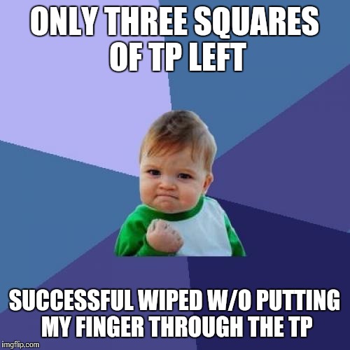 Success Kid | ONLY THREE SQUARES OF TP LEFT SUCCESSFUL WIPED W/O PUTTING MY FINGER THROUGH THE TP | image tagged in memes,success kid | made w/ Imgflip meme maker