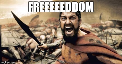 when the teacher leaves the room | FREEEEEDDOM | image tagged in memes,sparta leonidas | made w/ Imgflip meme maker