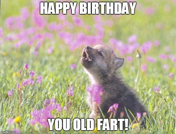Baby Insanity Wolf Meme | HAPPY BIRTHDAY YOU OLD FART! | image tagged in memes,baby insanity wolf | made w/ Imgflip meme maker