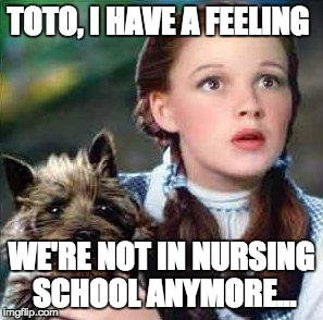 dorothy | TOTO, I HAVE A FEELING WE'RE NOT IN NURSING SCHOOL ANYMORE... | image tagged in dorothy | made w/ Imgflip meme maker