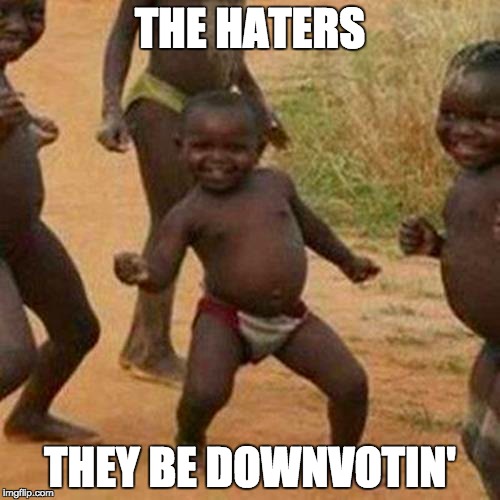 Third World Success Kid | THE HATERS THEY BE DOWNVOTIN' | image tagged in memes,third world success kid | made w/ Imgflip meme maker