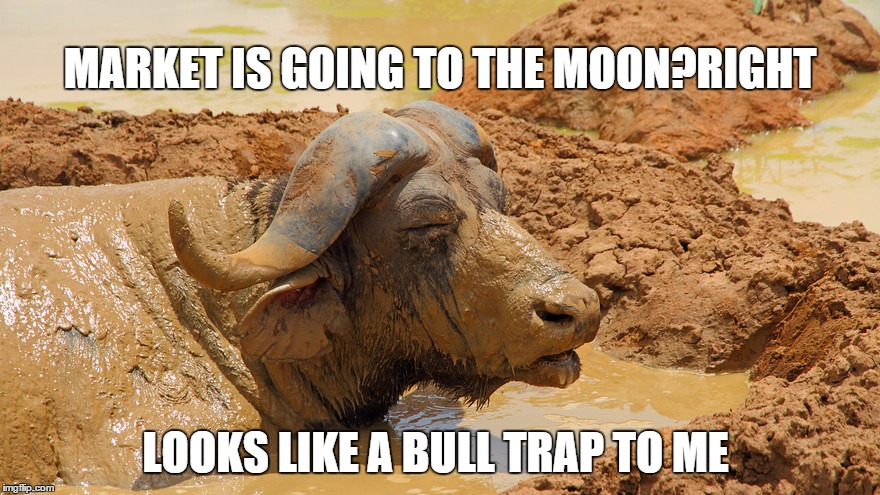 WALL STREET | MARKET IS GOING TO THE MOON?RIGHT LOOKS LIKE A BULL TRAP TO ME | image tagged in bull,loser | made w/ Imgflip meme maker