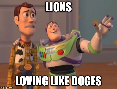 X, X Everywhere Meme | LIONS LOVING LIKE DOGES | image tagged in memes,x x everywhere | made w/ Imgflip meme maker
