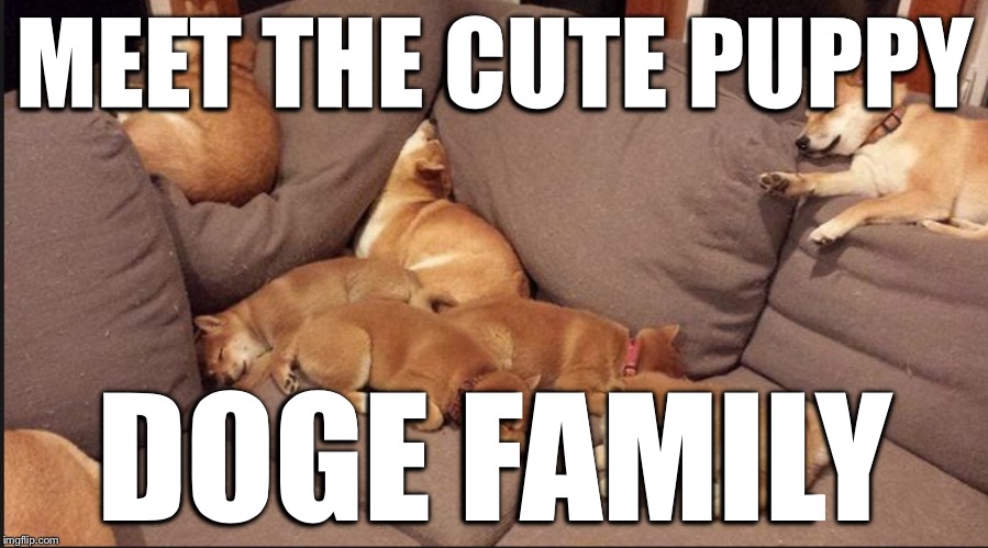 MEET THE CUTE PUPPY DOGE FAMILY | made w/ Imgflip meme maker