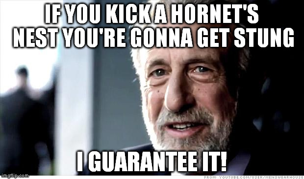 I Guarantee It Meme | IF YOU KICK A HORNET'S NEST
YOU'RE GONNA GET STUNG I GUARANTEE IT! | image tagged in memes,i guarantee it | made w/ Imgflip meme maker