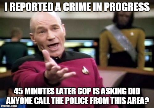 Picard Wtf | I REPORTED A CRIME IN PROGRESS 45 MINUTES LATER COP IS ASKING DID ANYONE CALL THE POLICE FROM THIS AREA? | image tagged in memes,picard wtf | made w/ Imgflip meme maker