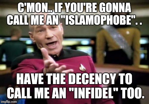 Picard Wtf | C'MON.. IF YOU'RE GONNA CALL ME AN "ISLAMOPHOBE". . HAVE THE DECENCY TO CALL ME AN "INFIDEL" TOO. | image tagged in memes,picard wtf | made w/ Imgflip meme maker