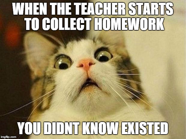Scared Cat Meme | WHEN THE TEACHER STARTS TO COLLECT HOMEWORK YOU DIDNT KNOW EXISTED | image tagged in memes,scared cat | made w/ Imgflip meme maker