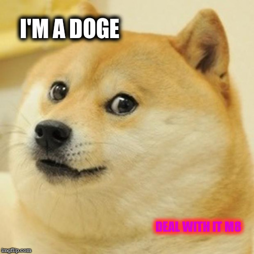 Doge | I'M A DOGE DEAL WITH IT M8 | image tagged in memes,doge | made w/ Imgflip meme maker
