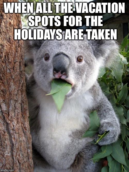 Surprised Koala | WHEN ALL THE VACATION SPOTS FOR THE HOLIDAYS ARE TAKEN | image tagged in memes,surprised koala | made w/ Imgflip meme maker