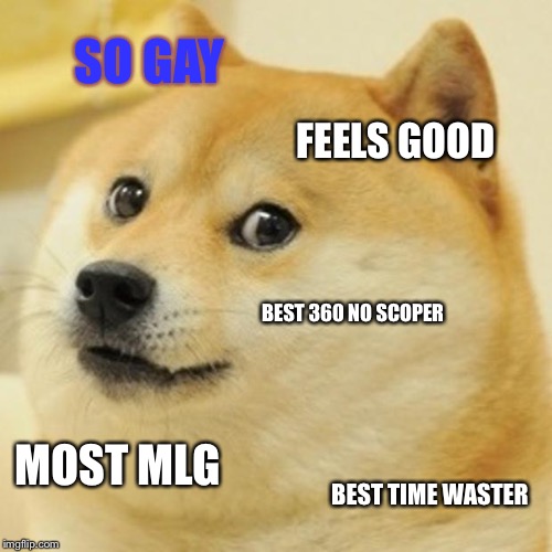 Doge Meme | SO GAY FEELS GOOD BEST 360 NO SCOPER MOST MLG BEST TIME WASTER | image tagged in memes,doge | made w/ Imgflip meme maker