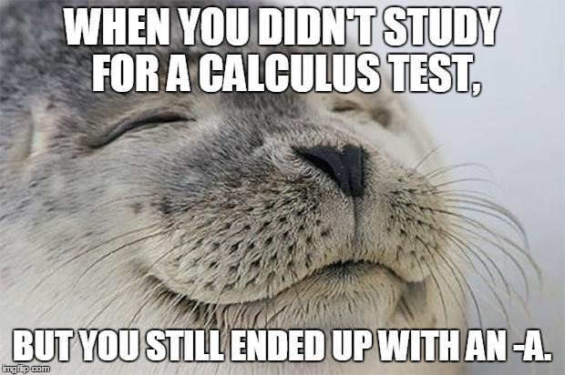 Satisfied Seal | WHEN YOU DIDN'T STUDY FOR A CALCULUS TEST, BUT YOU STILL ENDED UP WITH AN -A. | image tagged in memes,satisfied seal | made w/ Imgflip meme maker