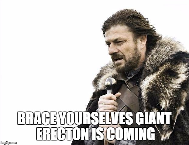 Brace Yourselves X is Coming Meme | BRACE YOURSELVES GIANT ERECTON IS COMING | image tagged in memes,brace yourselves x is coming | made w/ Imgflip meme maker