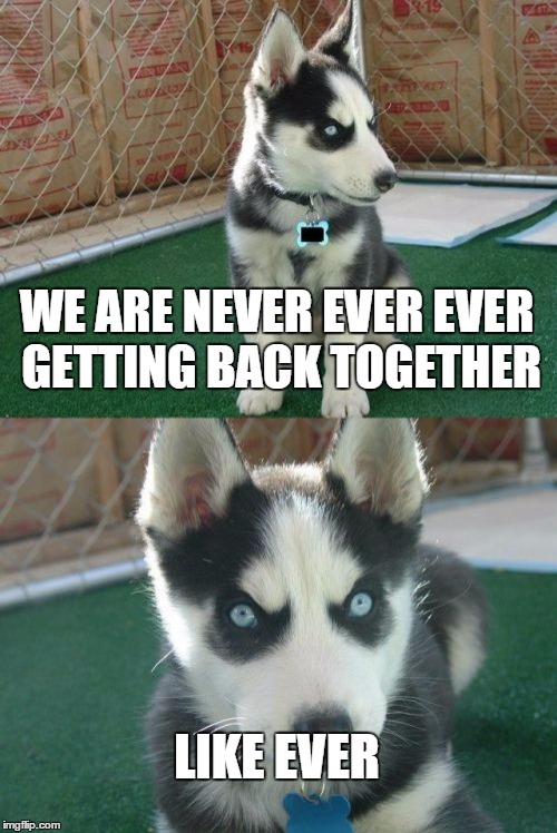 Don't Break Up with Insanity Puppy | WE ARE NEVER EVER EVER GETTING BACK TOGETHER LIKE EVER | image tagged in memes,insanity puppy | made w/ Imgflip meme maker