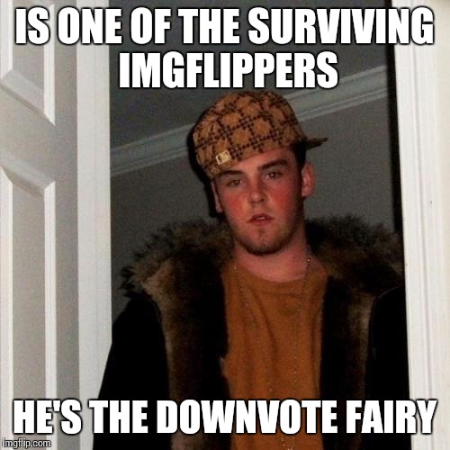 Scumbag Steve Meme | IS ONE OF THE SURVIVING IMGFLIPPERS HE'S THE DOWNVOTE FAIRY | image tagged in memes,scumbag steve | made w/ Imgflip meme maker