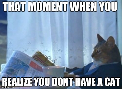 I Should Buy A Boat Cat | THAT MOMENT WHEN YOU REALIZE YOU DONT HAVE A CAT | image tagged in memes,i should buy a boat cat | made w/ Imgflip meme maker