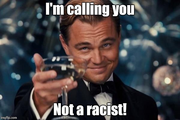 Leonardo Dicaprio Cheers Meme | I'm calling you Not a racist! | image tagged in memes,leonardo dicaprio cheers | made w/ Imgflip meme maker