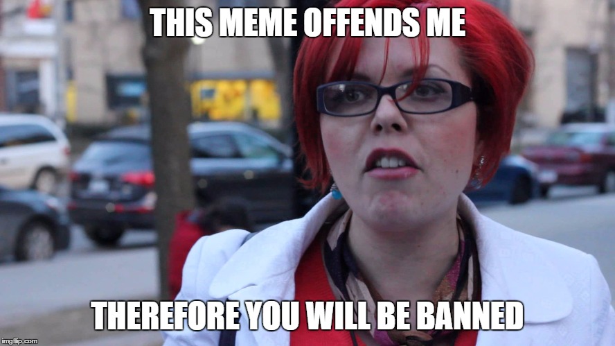 Feminazi | THIS MEME OFFENDS ME THEREFORE YOU WILL BE BANNED | image tagged in feminazi | made w/ Imgflip meme maker