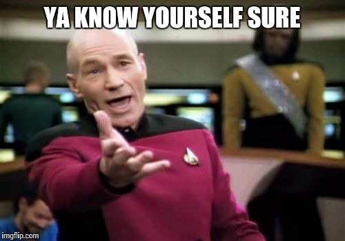 Picard Wtf | YA KNOW YOURSELF SURE | image tagged in memes,picard wtf | made w/ Imgflip meme maker