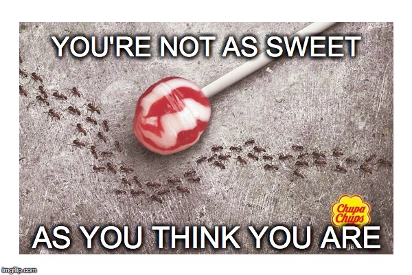 Sucker! | YOU'RE NOT AS SWEET AS YOU THINK YOU ARE | image tagged in you're not as sweet as you think you are,sucker,ants | made w/ Imgflip meme maker