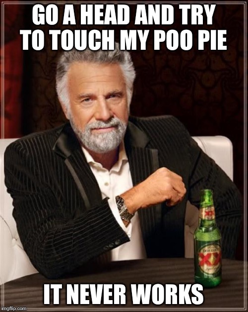 The Most Interesting Man In The World Meme | GO A HEAD AND TRY TO TOUCH MY POO PIE IT NEVER WORKS | image tagged in memes,the most interesting man in the world | made w/ Imgflip meme maker
