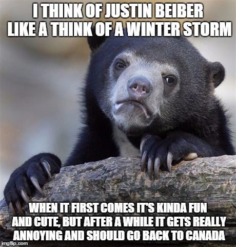 Confession Bear Meme | I THINK OF JUSTIN BEIBER LIKE A THINK OF A WINTER STORM WHEN IT FIRST COMES IT'S KINDA FUN AND CUTE, BUT AFTER A WHILE IT GETS REALLY ANNOYI | image tagged in memes,confession bear | made w/ Imgflip meme maker