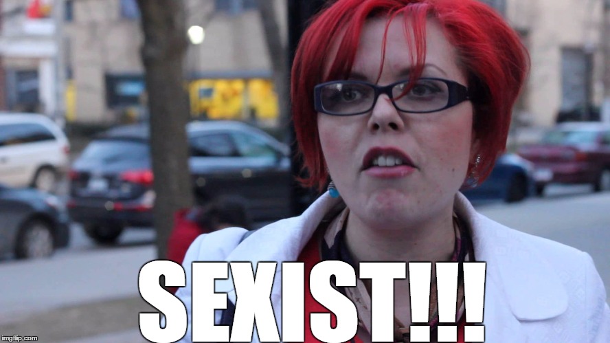 Feminazi | SEXIST!!! | image tagged in feminazi | made w/ Imgflip meme maker