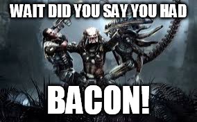 WAIT DID YOU SAY YOU HAD BACON! | image tagged in preditor | made w/ Imgflip meme maker