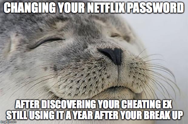 Satisfied Seal | CHANGING YOUR NETFLIX PASSWORD AFTER DISCOVERING YOUR CHEATING EX STILL USING IT A YEAR AFTER YOUR BREAK UP | image tagged in memes,satisfied seal,AdviceAnimals | made w/ Imgflip meme maker