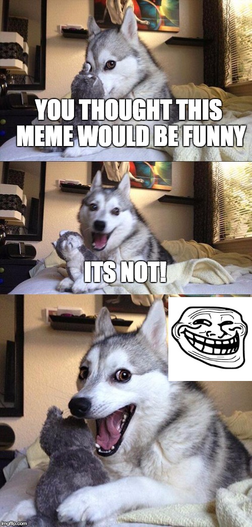 Bad Pun Dog | YOU THOUGHT THIS MEME WOULD BE FUNNY ITS NOT! | image tagged in memes,bad pun dog | made w/ Imgflip meme maker