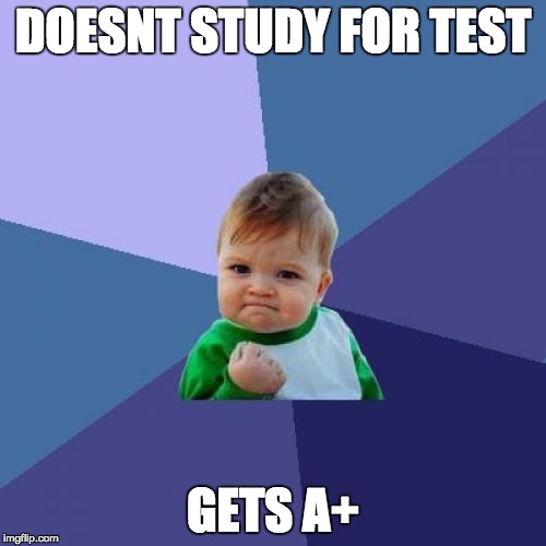 Success Kid | DOESNT STUDY FOR TEST GETS A+ | image tagged in memes,success kid | made w/ Imgflip meme maker