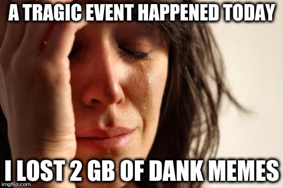 First World Problems | A TRAGIC EVENT HAPPENED TODAY I LOST 2 GB OF DANK MEMES | image tagged in memes,first world problems | made w/ Imgflip meme maker