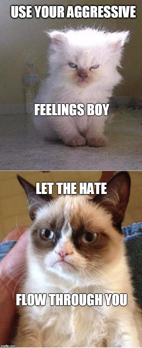 Grumpy Cats | USE YOUR AGGRESSIVE FEELINGS BOY LET THE HATE FLOW THROUGH YOU | image tagged in grumpy cats | made w/ Imgflip meme maker